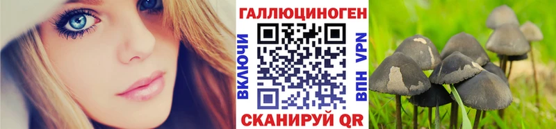 Галлюциногенные грибы MAGIC MUSHROOMS продажа наркотиков Валуйки